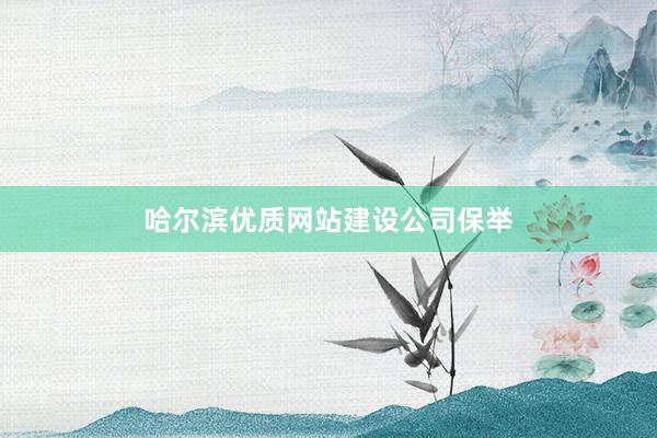 哈尔滨优质网站建设公司保举